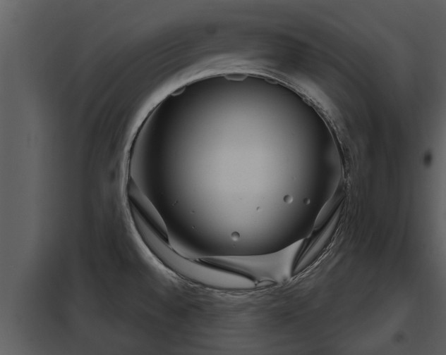 X0000097951528200804011622