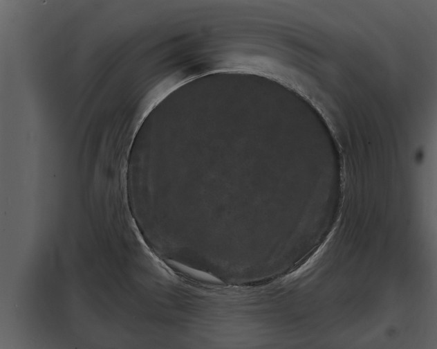 X0000097951529200804011622