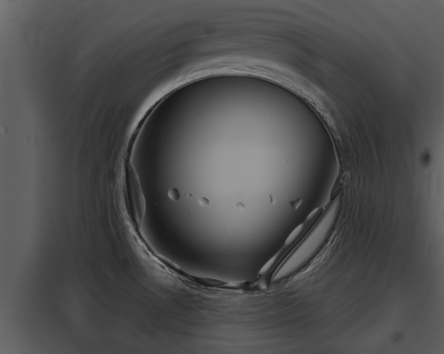 X0000097951530200804011622