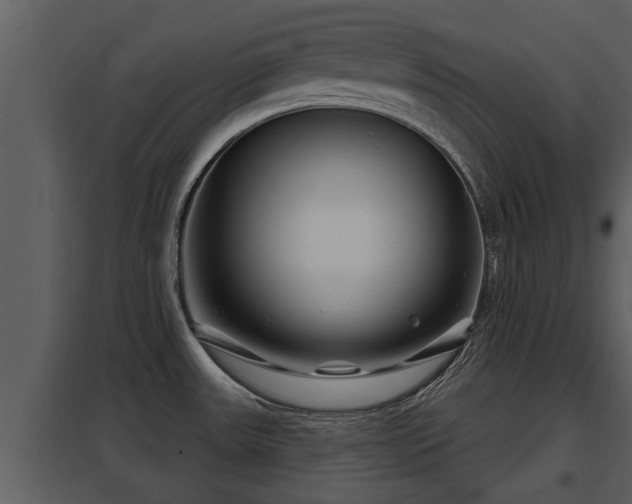 X0000097951531200804011622