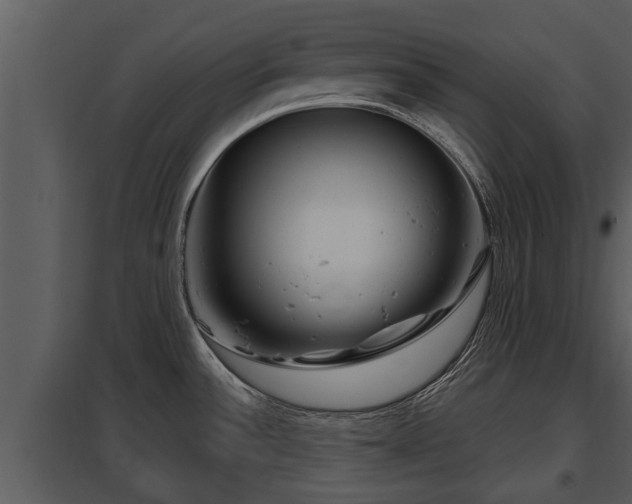 X0000097951532200804011622