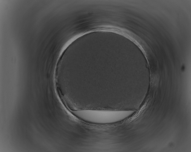 X0000097951533200804011622