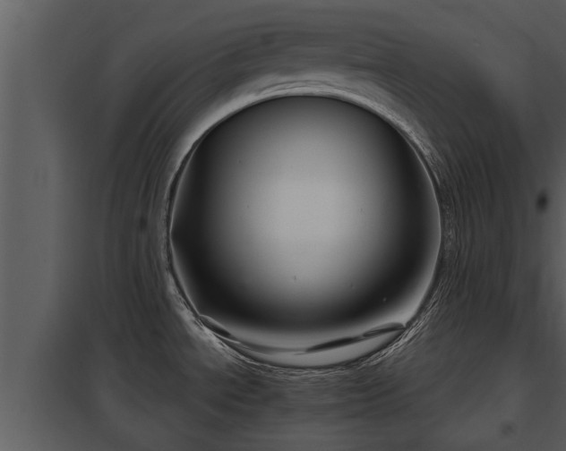 X0000097951534200804011622