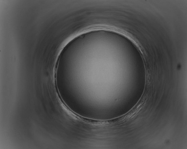 X0000097951535200804011622