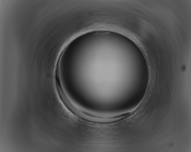 X0000097951536200804011622