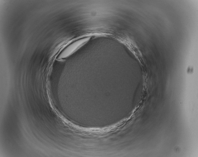 X0000097950001200804071017
