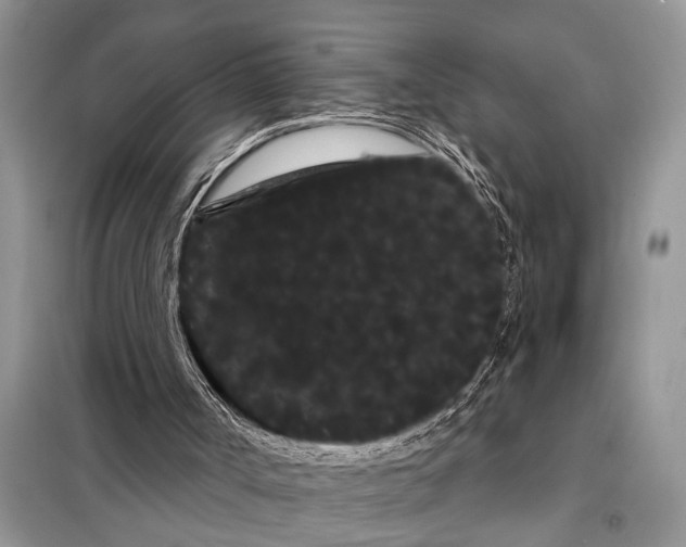 X0000097950002200804071017