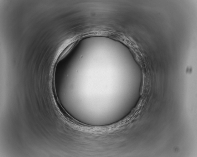 X0000097950003200804071017