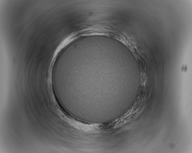 X0000097950004200804071017
