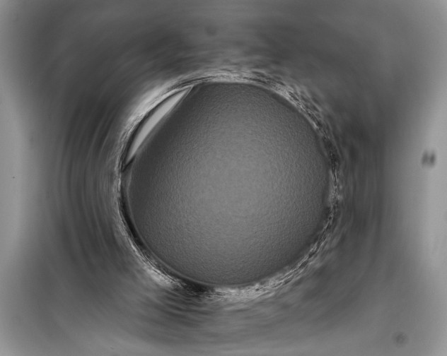 X0000097950005200804071017