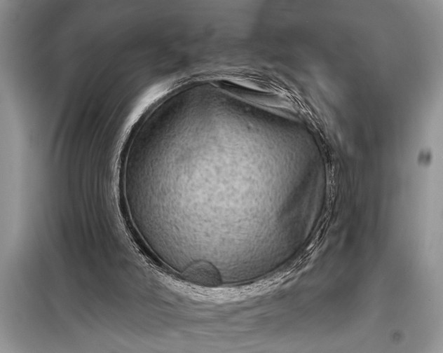 X0000097950006200804071017