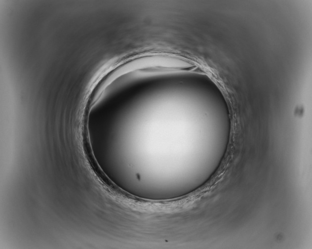 X0000097950007200804071017