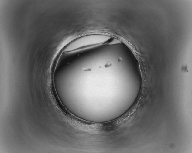 X0000097950008200804071017