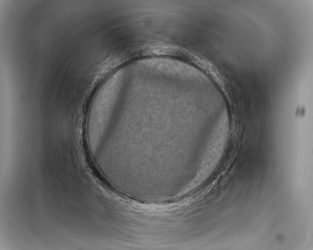 X0000097950010200804071017