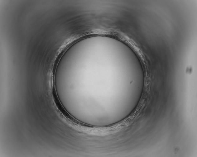 X0000097950011200804071017