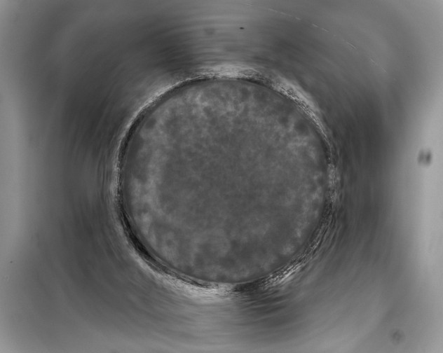 X0000097950012200804071017