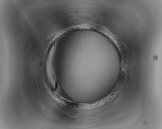 X0000097950013200804071017