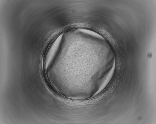 X0000097950014200804071017