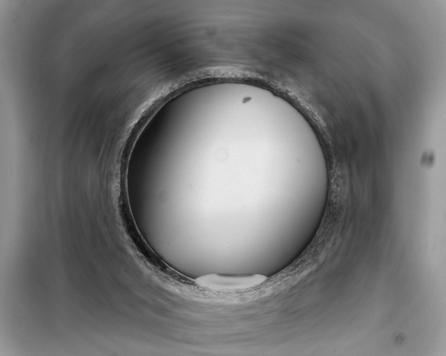 X0000097950015200804071017