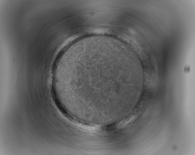 X0000097950016200804071017