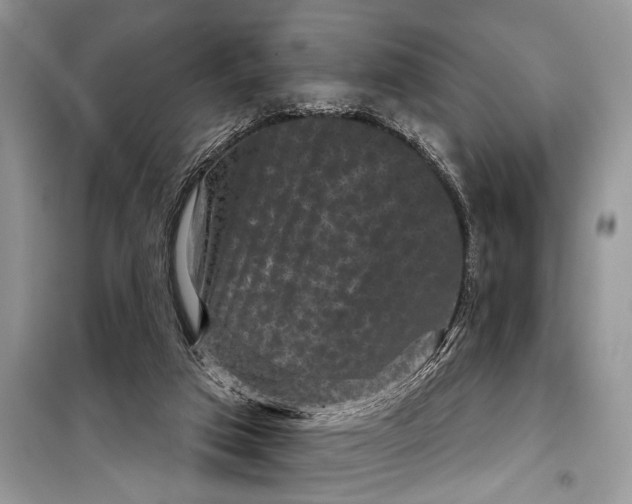 X0000097950017200804071017