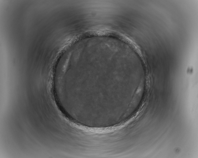 X0000097950018200804071017