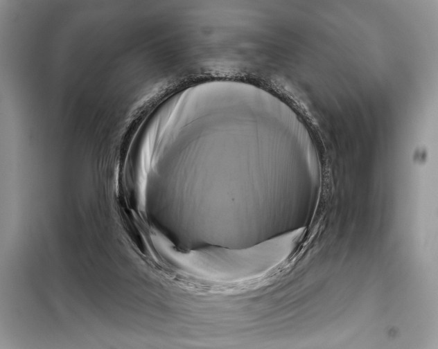 X0000097950019200804071017