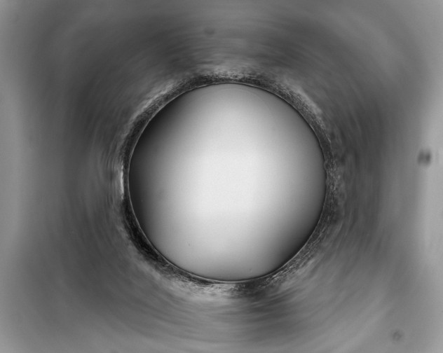 X0000097950020200804071017