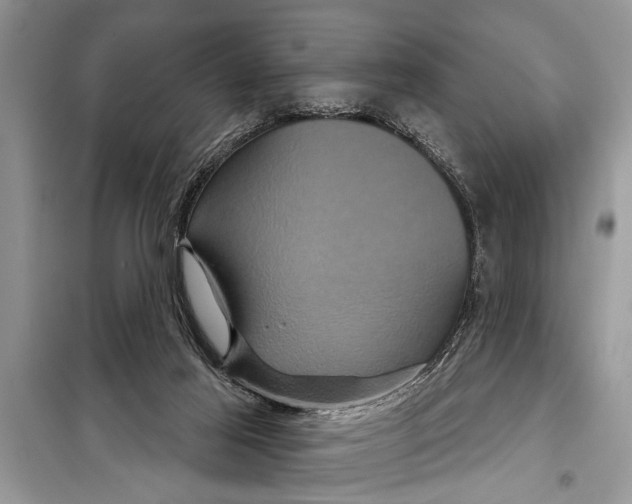 X0000097950021200804071017