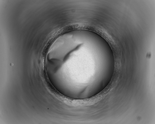 X0000097950022200804071017