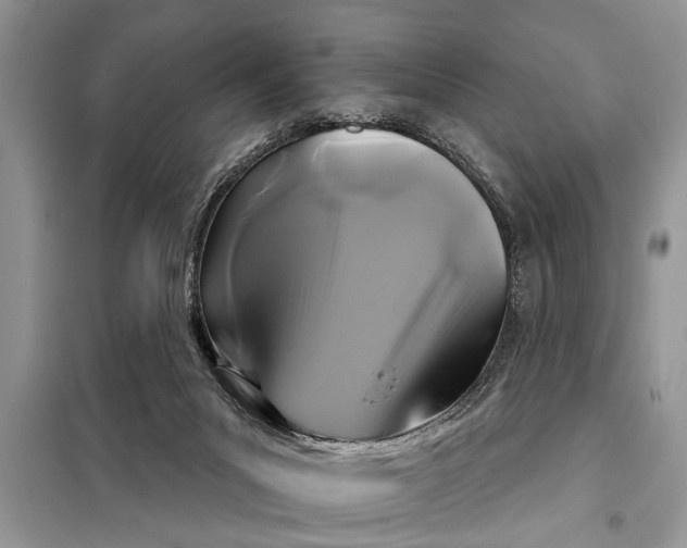 X0000097950023200804071017