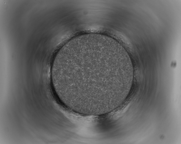 X0000097950024200804071017