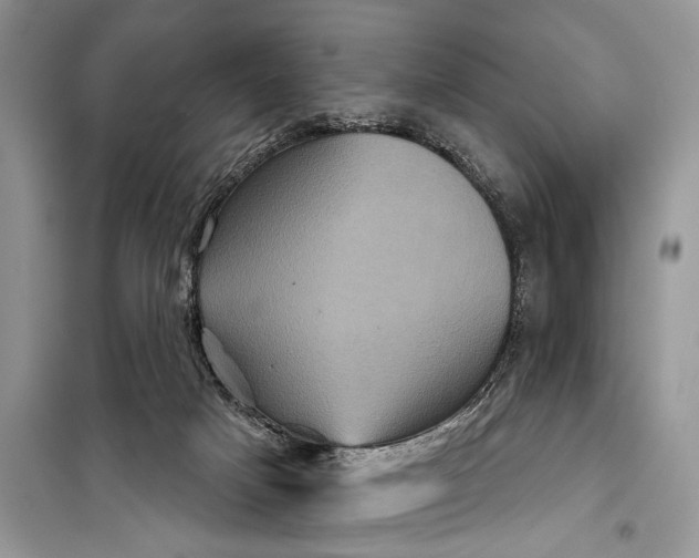 X0000097950025200804071017