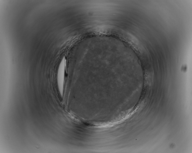 X0000097950029200804071017
