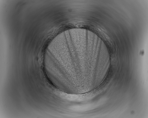 X0000097950030200804071016