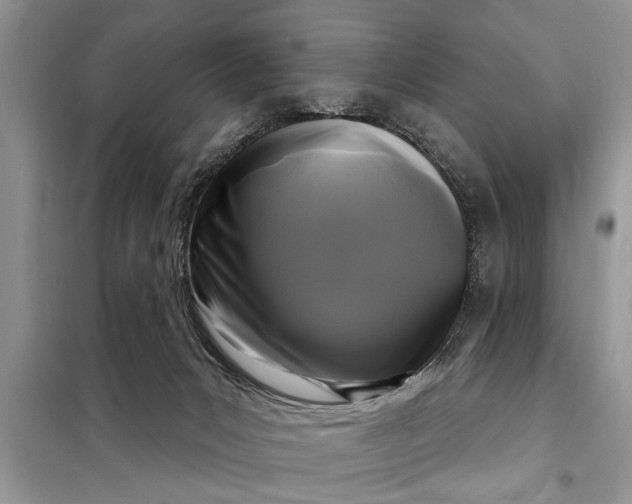 X0000097950031200804071016