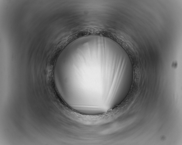 X0000097950034200804071016
