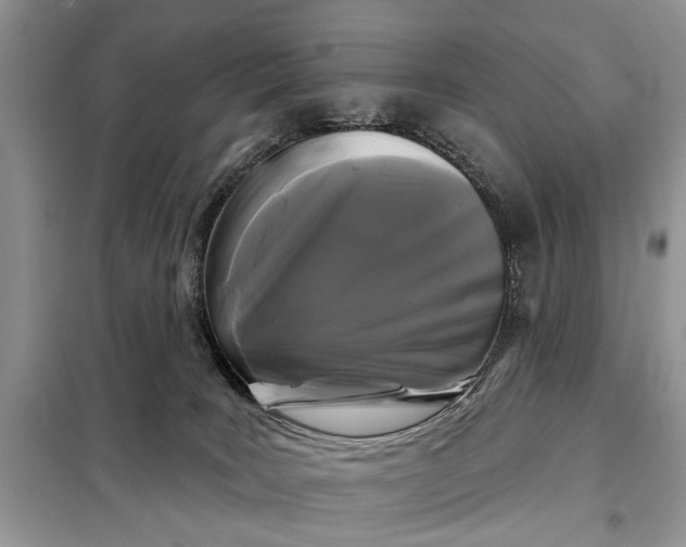 X0000097950035200804071016