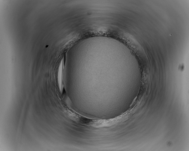X0000097950037200804071016