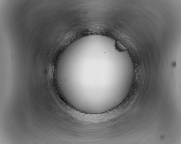 X0000097950038200804071016