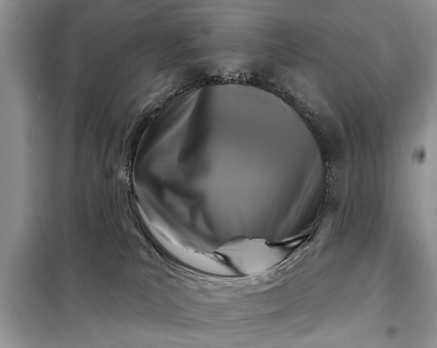 X0000097950039200804071016