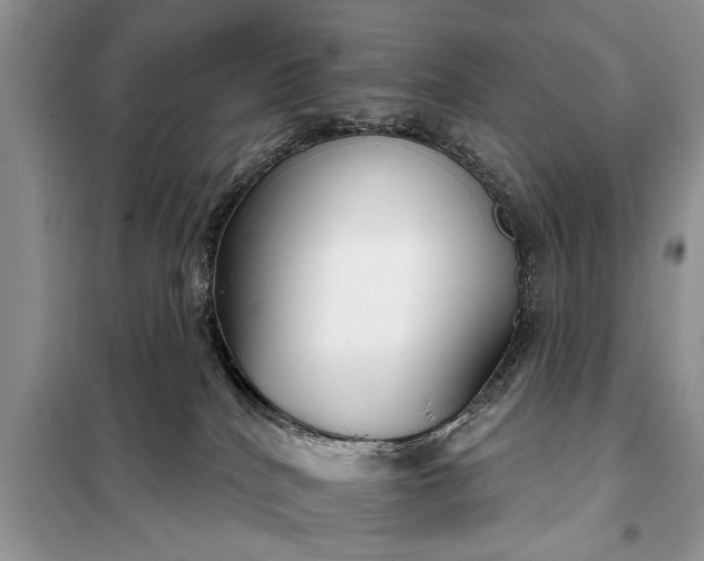 X0000097950040200804071016