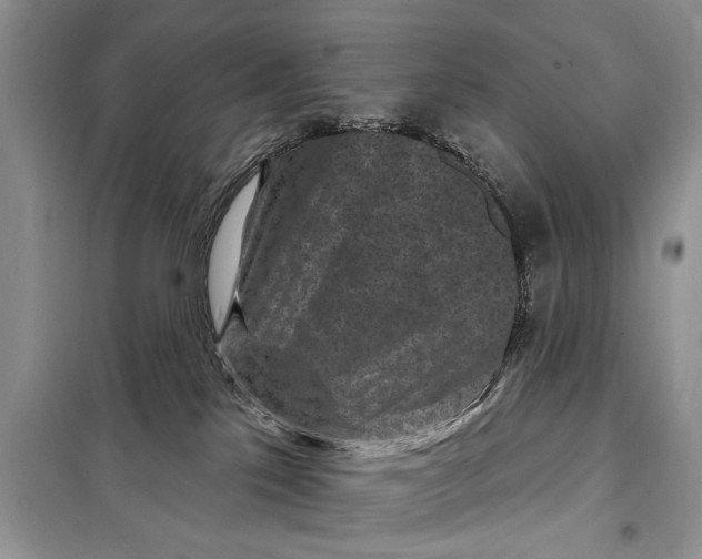 X0000097950041200804071016