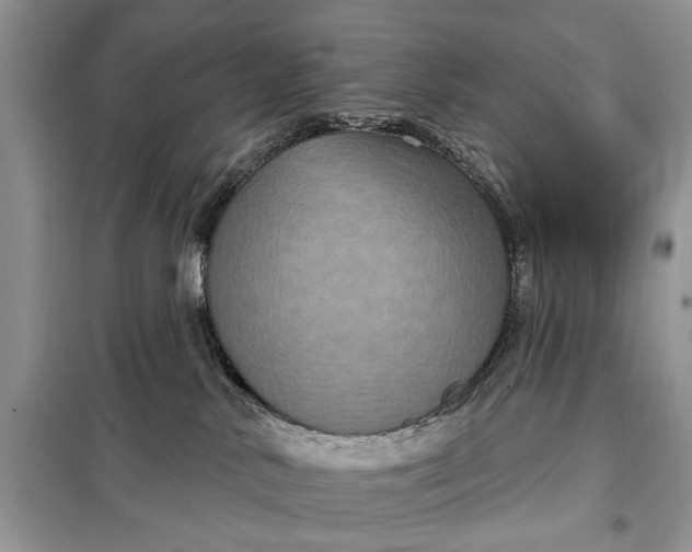 X0000097950042200804071016