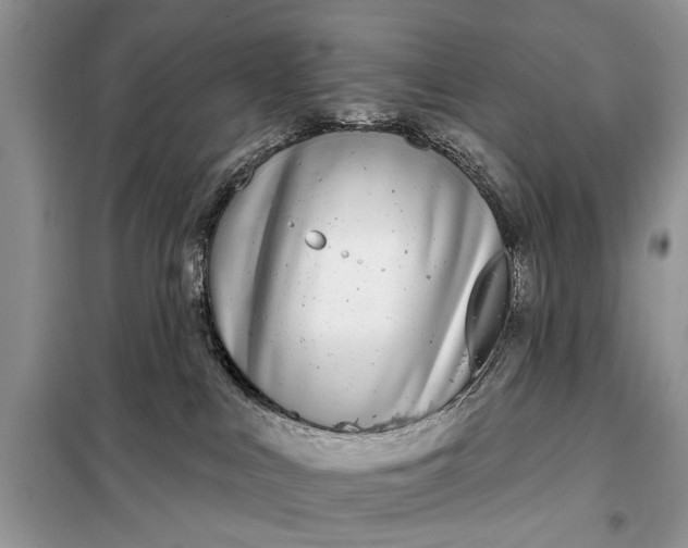 X0000097950043200804071016