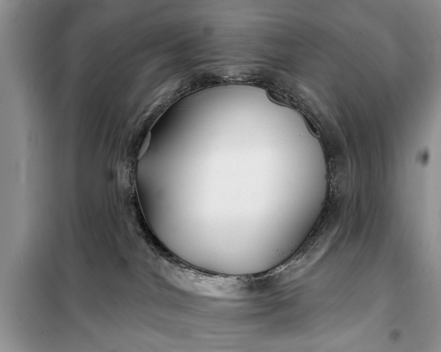 X0000097950044200804071016