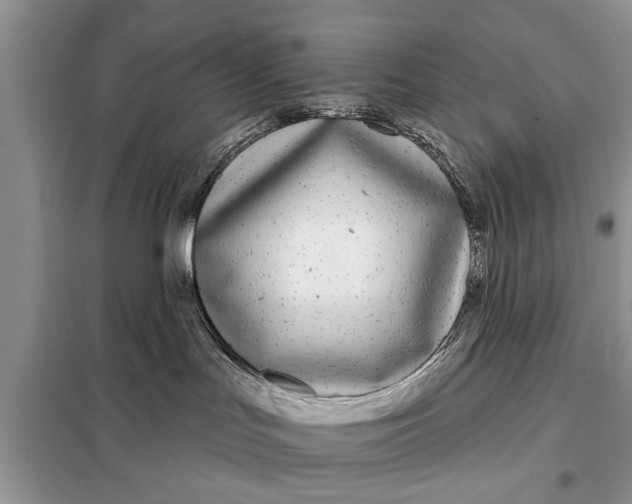 X0000097950047200804071016