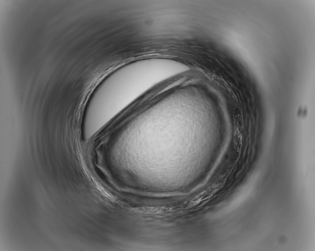X0000097950049200804071015