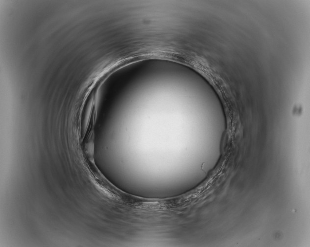 X0000097950050200804071015