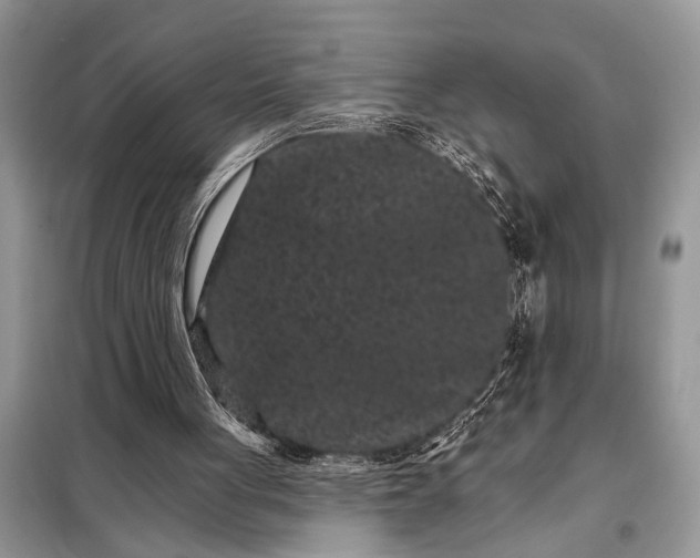 X0000097950051200804071015